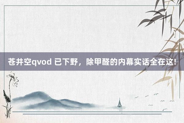 苍井空qvod 已下野，除甲醛的内幕实话全在这!