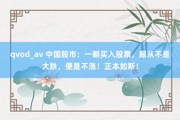 qvod_av 中国股市：一朝买入股票，服从不是大跌，便是不涨！正本如斯！