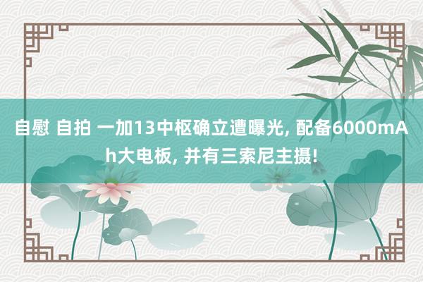 自慰 自拍 一加13中枢确立遭曝光， 配备6000mAh大电板， 并有三索尼主摄!