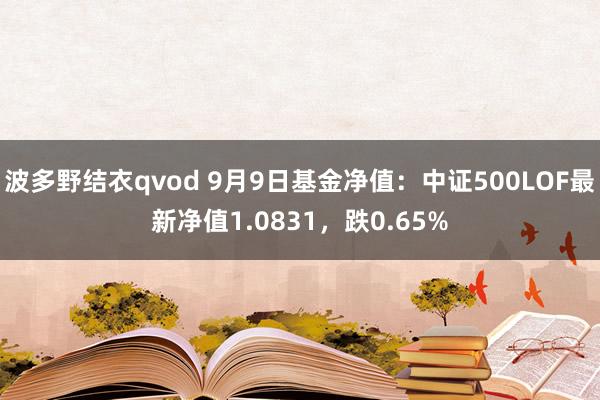 波多野结衣qvod 9月9日基金净值：中证500LOF最新净值1.0831，跌0.65%