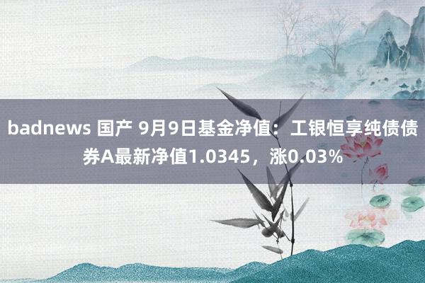 badnews 国产 9月9日基金净值：工银恒享纯债债券A最新净值1.0345，涨0.03%