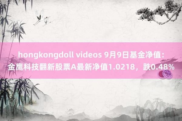 hongkongdoll videos 9月9日基金净值：金鹰科技翻新股票A最新净值1.0218，跌0.48%