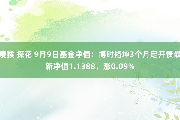 瘦猴 探花 9月9日基金净值：博时裕坤3个月定开债最新净值1.1388，涨0.09%