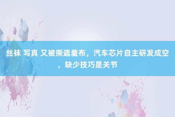 丝袜 写真 又被撕遮羞布，汽车芯片自主研发成空，缺少技巧是关节