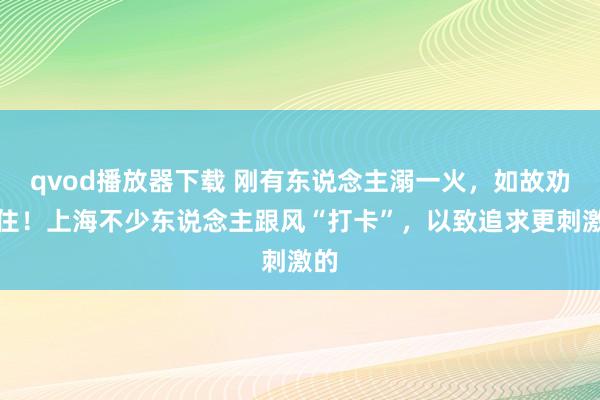 qvod播放器下载 刚有东说念主溺一火，如故劝不住！上海不少东说念主跟风“打卡”，以致追求更刺激的