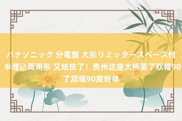 パナソニック 分電盤 大形リミッタースペース付 露出・半埋込両用形 又炫技了！贵州这座大桥罢了双幅90度转体