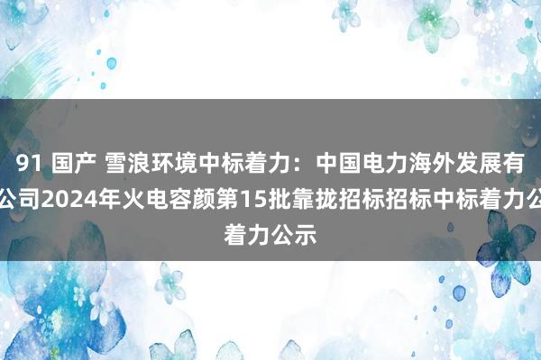 91 国产 雪浪环境中标着力：中国电力海外发展有限公司2024年火电容颜第15批靠拢招标招标中标着力公示