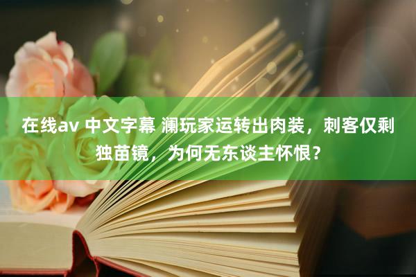 在线av 中文字幕 澜玩家运转出肉装，刺客仅剩独苗镜，为何无东谈主怀恨？