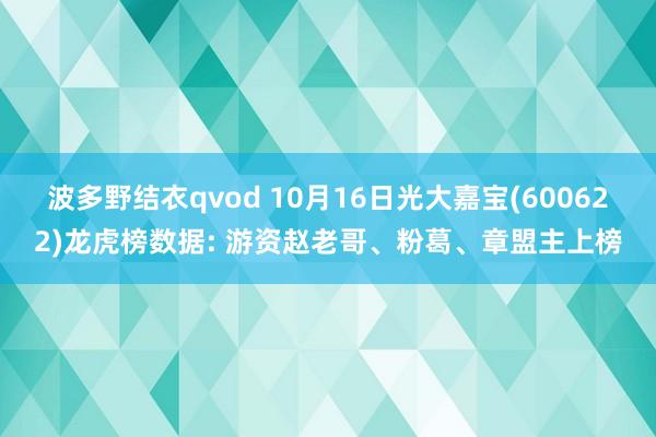 波多野结衣qvod 10月16日光大嘉宝(600622)龙虎榜数据: 游资赵老哥、粉葛、章盟主上榜