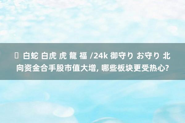 ✨白蛇 白虎 虎 龍 福 /24k 御守り お守り 北向资金合手股市值大增， 哪些板块更受热心?