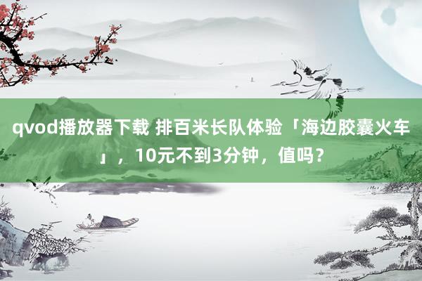 qvod播放器下载 排百米长队体验「海边胶囊火车」，10元不到3分钟，值吗？