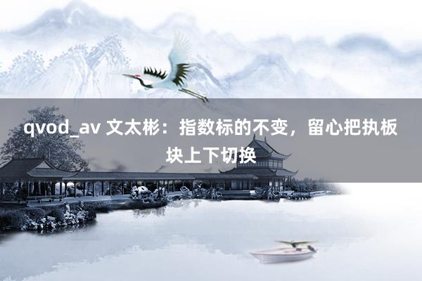 qvod_av 文太彬：指数标的不变，留心把执板块上下切换