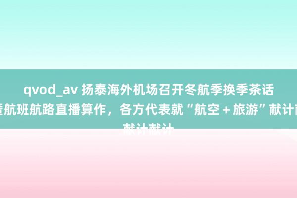 qvod_av 扬泰海外机场召开冬航季换季茶话会暨航班航路直播算作，各方代表就“航空＋旅游”献计献计