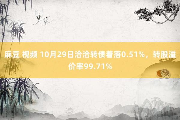 麻豆 视频 10月29日洽洽转债着落0.51%，转股溢价率99.71%