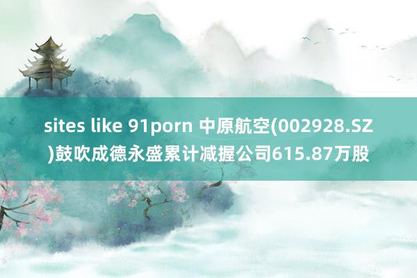 sites like 91porn 中原航空(002928.SZ)鼓吹成德永盛累计减握公司615.87万股