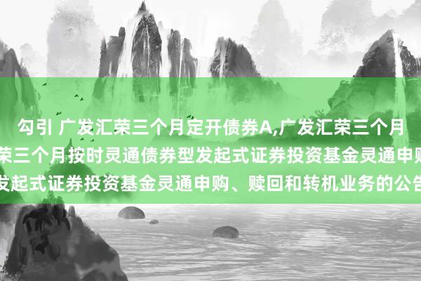 勾引 广发汇荣三个月定开债券A，广发汇荣三个月定开债券C: 对于广发汇荣三个月按时灵通债券型发起式证券投资基金灵通申购、赎回和转机业务的公告