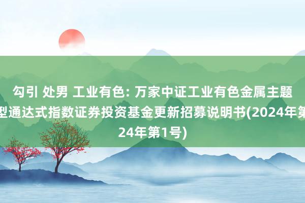 勾引 处男 工业有色: 万家中证工业有色金属主题来往型通达式指数证券投资基金更新招募说明书(2024年第1号)